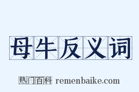 母牛反义词是什么意思的图片